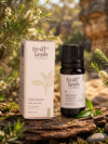 FIRSTLAYER Clean Grove Essential Oil – Natural Purity Blend for Breathing Support, Stress Relief & Relaxation