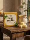 FIRSTLAYER Lemon Grass Wax Melts | Soya Wax Aromatherapy Cubes | Long Lasting Home Fragrance | Safe, Smoke-Free & Eco-Friendly